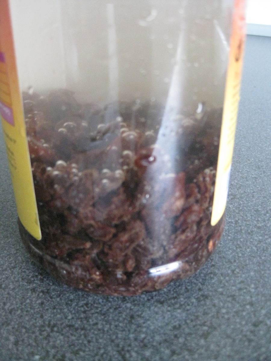 Rosiner i vandflaske.