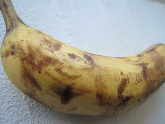 Smadret banan, men er ikke moden. Billede af en banan