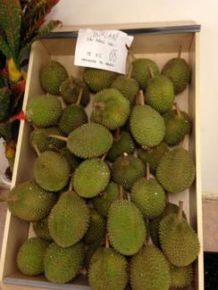 Durian til salg