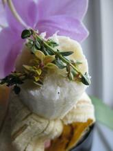 Citron-timian og banan Citron-timian og banan - urter med banan danner en lækker brunch.