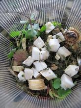 Urter i en tebeholder En urteblanding