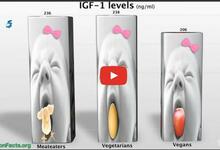 Tre babyer der spiser forskelligt, øger forskellige