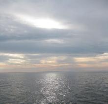 Den naturlige vej til D-vitamin er via solpåvirkining af huden. Solens stråler får huden til at danne D-vitamin-hormon.