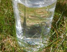 Rent vand i plastflaske, som står på en græsplæne.